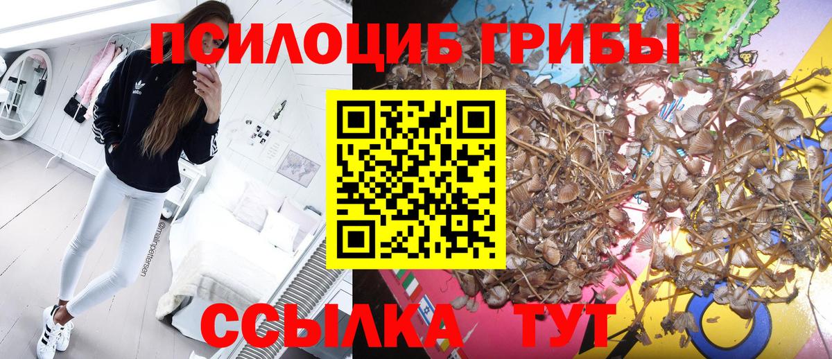Псилоцибиновые грибы мухоморы Саяногорск