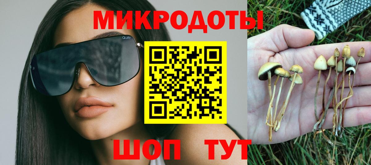 Псилоцибиновые грибы GOLDEN TEACHER  Вход с VPN  Саяногорск 